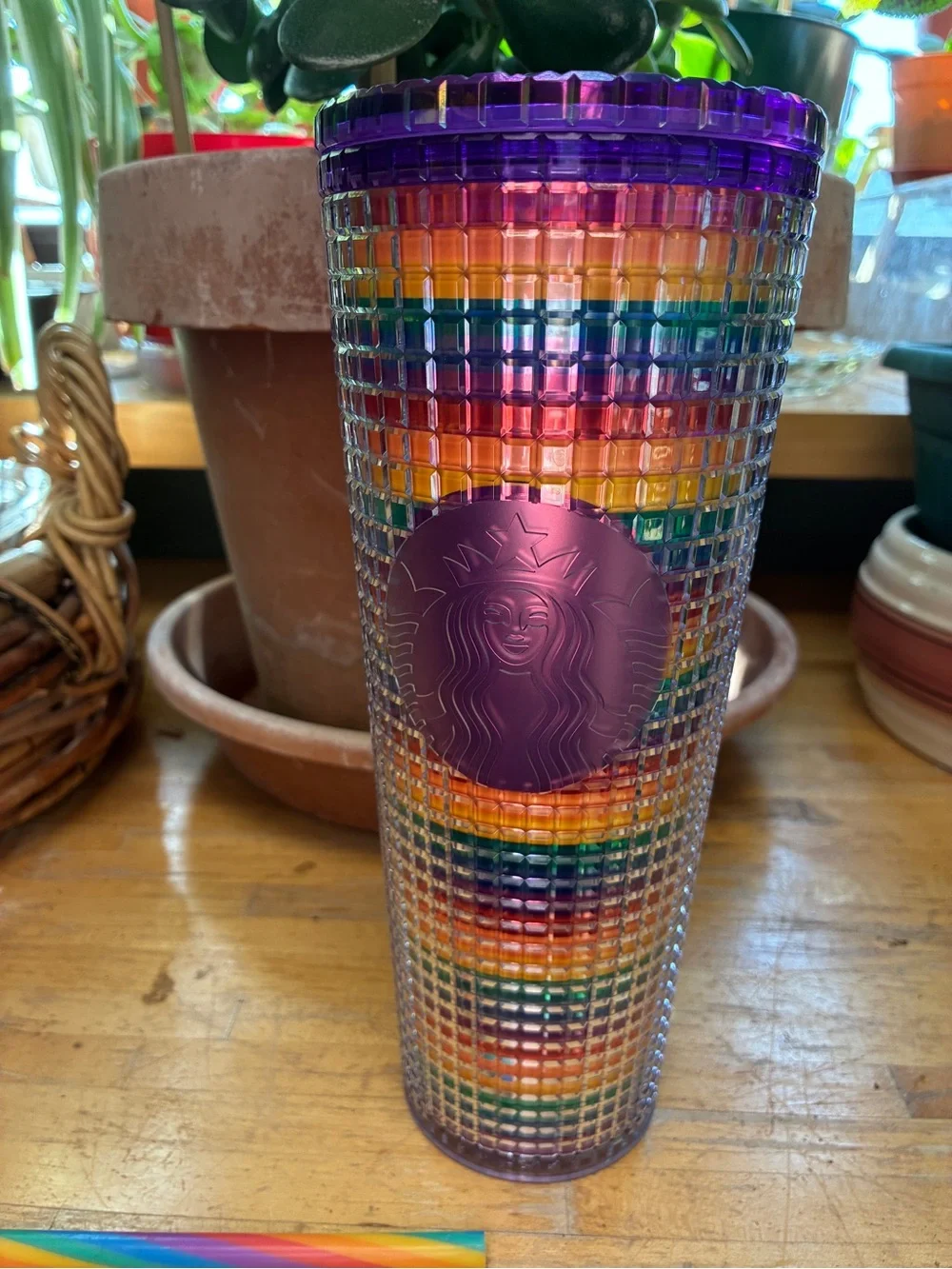 Disney Parks Starbucks Pride Tumbler Rainbow Studded Grid Venti 24oz